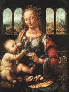  Leonardo  Da Vinci The Madonna of the Carnation oil painting reproduction